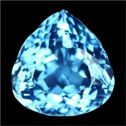 15.75ct Trillion Cut London Blue Topaz Brazil (GEM-15211)