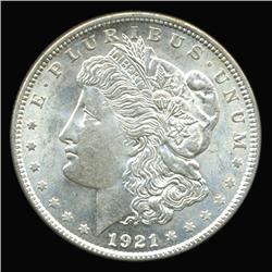 1921 Morgan Dollar Choice Unc (COI-5028)
