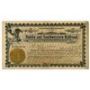 Image 1 : Dublin and Southwestern Railroad, 1905 I/U Stock Certificate