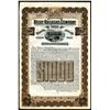 Image 1 : Boise Railroad Co. Ltd., 1906 Specimen Gold Bond