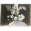 Image 1 : Looney Tunes Mel Blanc signed photo