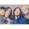 Image 1 : Red Hot Chili Peppers signed photo