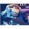 Image 1 : Chris Evans signed photo