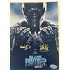 Image 1 : Black Panther Chadwick Boseman and Stan Lee signed mini movie poster