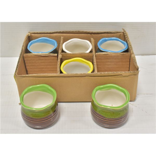 6 NEW SUCCULANT POTS