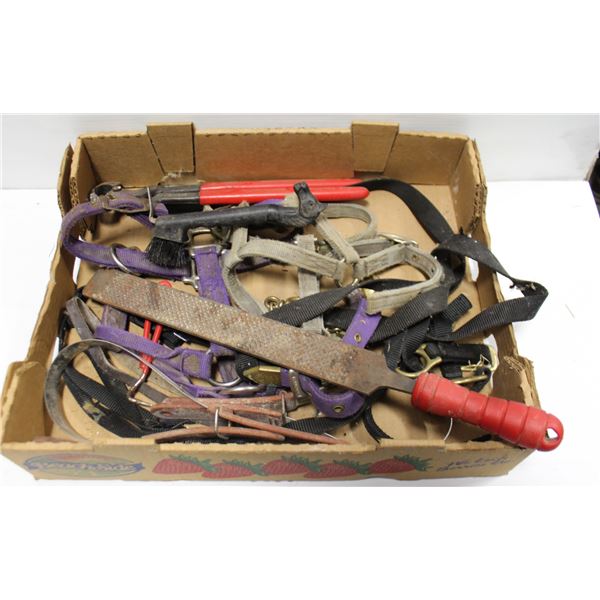 FLAT OF ASSORTED GOODS