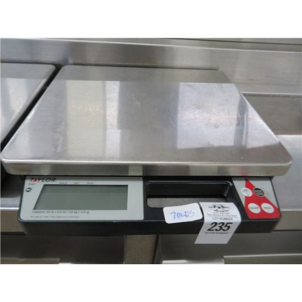 Taylor Electronic Portion Scale