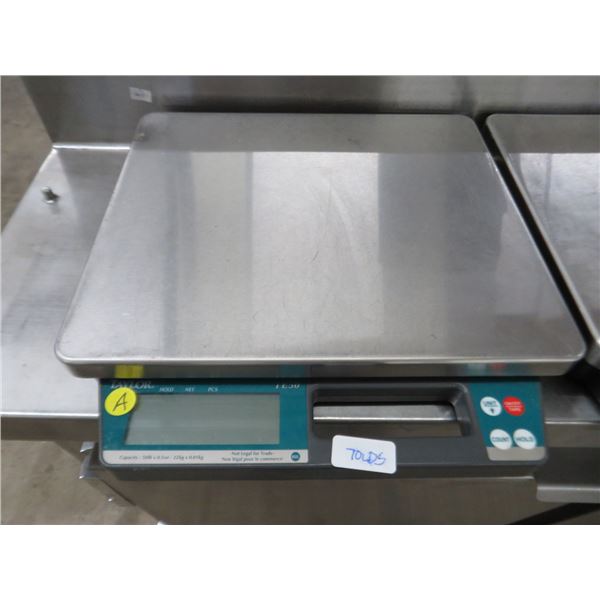 Taylor Electronic Portion Scale
