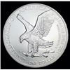 Image 2 : 2021 American Silver Eagle Type 2