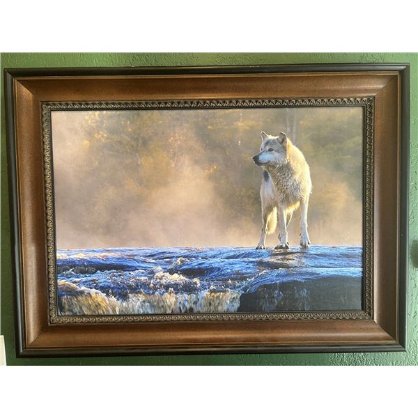 Beautiful “Misty Morning Wolf” by renowned wildlife photographer James Gary Hines II