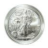 Image 1 : 2019-W $1 Burnished American Silver Eagle Coin