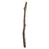Image 1 : Django Unchained Django (Jamie Foxx) Lone Pine Branch Movie Props
