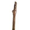 Image 2 : Django Unchained Django (Jamie Foxx) Lone Pine Branch Movie Props