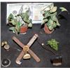 Image 1 : GODZILLA FLATIRON BUILDING SCREEN USED MINIATURE PLANTS AND LAMPS