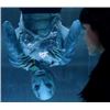 Image 3 : HELLBOY ABE SAPIEN MEDICAL DEVICE SCREEN MATCHED SUPER HERO