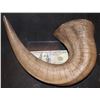 Image 1 : YOUR HIGHNESS MINOTAUR HORN