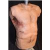 Image 1 : SILICONE FULL TORSO SURGERY RIG