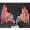 Image 1 : YOUR HIGHNESS BABY DRAGON WINGS