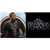 Image 2 : BLACK PANTHER WAKANDA FOREVER KING T'CHALLA CAPE SHAWL SUPER HERO