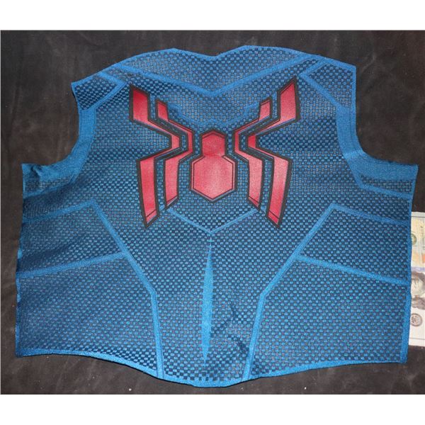 SPIDER-MAN BACK PANEL WITH GLYPH AND WEBBING HERO SUPER HERO 2