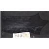 Image 1 : BLACK PANTHER WAKANDA FOREVER SUIT PANEL F SUPER HERO