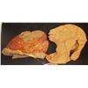 Image 2 : DINOSAURS EARL AND ANOTHER COSTUME PUPPET HEAD SKINS