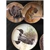 Image 3 : 5 Gregory Perillo Animal Plates,  Professionally Framed Peaceable Kingdom Plate & 3 Glen Loates Bird
