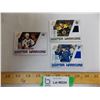 Image 1 : (3) Winter Warriors game worn jersey cards