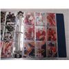 Image 2 : 1995-96 Skybox Emotion hockey (200 card set) complete in binder