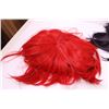 Image 9 : (9) Cosplay Wigs + Japanese School Girl Costume