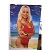 Image 3 : (3) Posters (Pamela Anderson, Wayne Gretzky, and Chubby Checker)