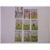 Image 3 : Lot of Over 20 Germany Track and Field Cards From Olympics