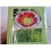 Image 3 : Bird Bath Stake (in Box) - Large Bowl (hand painted)