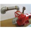 Image 2 : *Red Lion Non Submersible Pump
