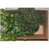 BOX OF ESTATE GREENERY DECOR