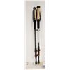 Image 1 : NEW REPACKED TREKOLOGY LIGHTWEIGHT TREKKING POLES