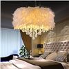 Image 1 : NEW SURPARS HOUSE WHITE FEATHER PENDANT LIGHT