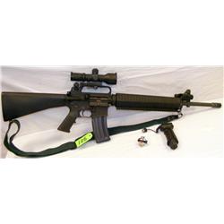 Eagle Arms M15A2 233 Semi-auto assault rifle
