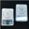 Image 2 : 2021 Type 1 and Type 2 Reverse Proof Silver Eagle NGC PF70