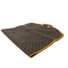 Image 3 : LV Garment Case