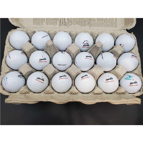 Lot of 18 Noodle Golf Balls