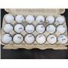 Image 1 : Lot of 18 Noodle Golf Balls