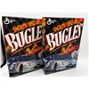 Image 2 : Mark Martin Bugles & Pictures