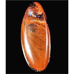 10.71ct Amazing Queensland Perfect  Yowah Boulder Opal (GEM-12038)