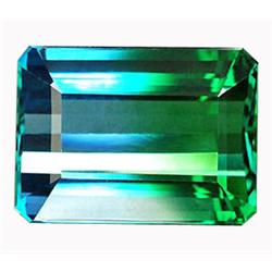 35.30ct   Excellent Octagon Bi Color Quartz (GEM-13170)