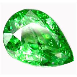 0.74ct Precious Natural Top Green Tsavorite Garnet (GEM-14583)