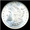 1885O Morgan Dollar Graded PCGS MS64 (COI-5059)