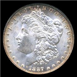 1887 Morgan Dollar Graded MS66 Scarce Variety (COI-5045)