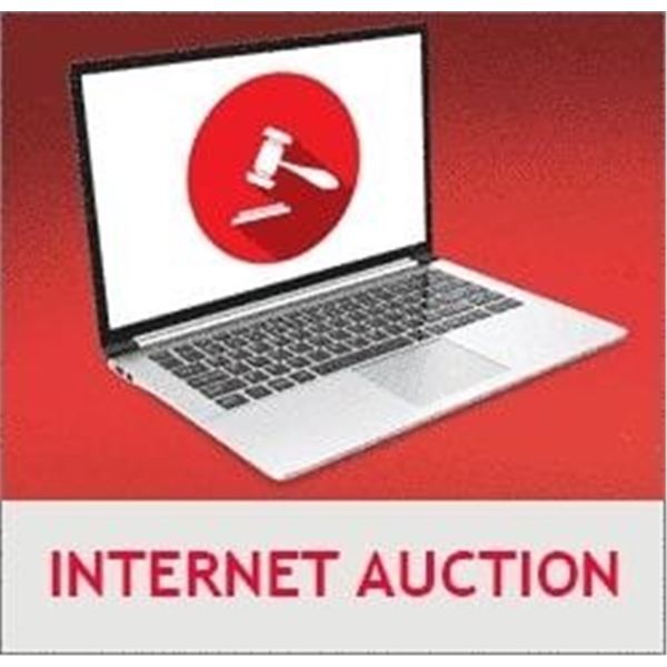 INTERNET AUCTION SESSION