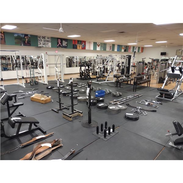 APPROX 10,000 SQ FT EQUIPPED  FULL FITNESS CENTER & GYM BULK /TURN KEY OFFER